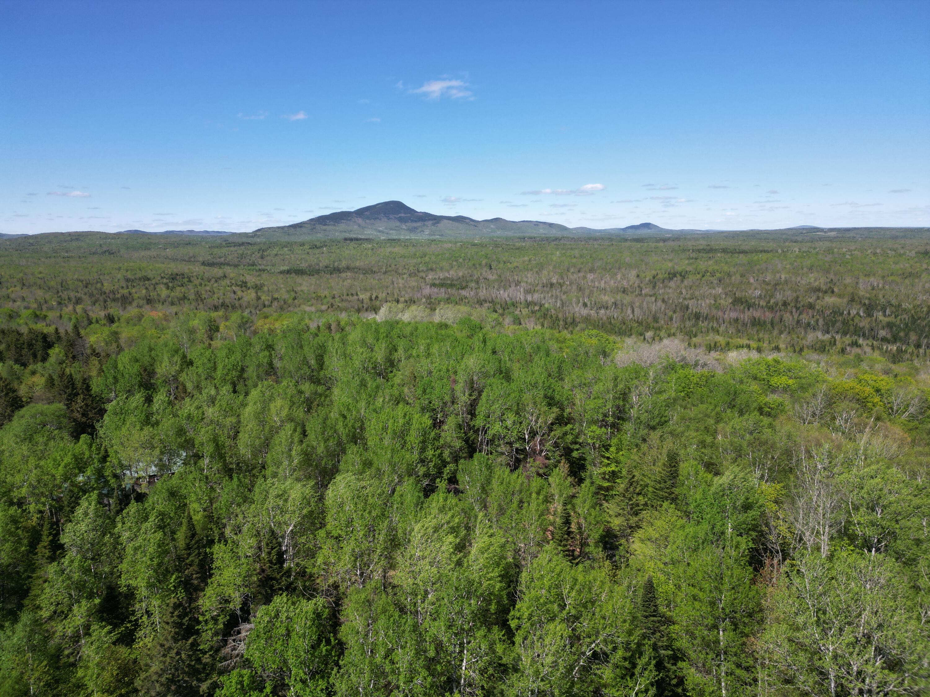 919 Shin Pond Road Mount Chase, ME 04765 - Photo 23 of 27 DJI_0572