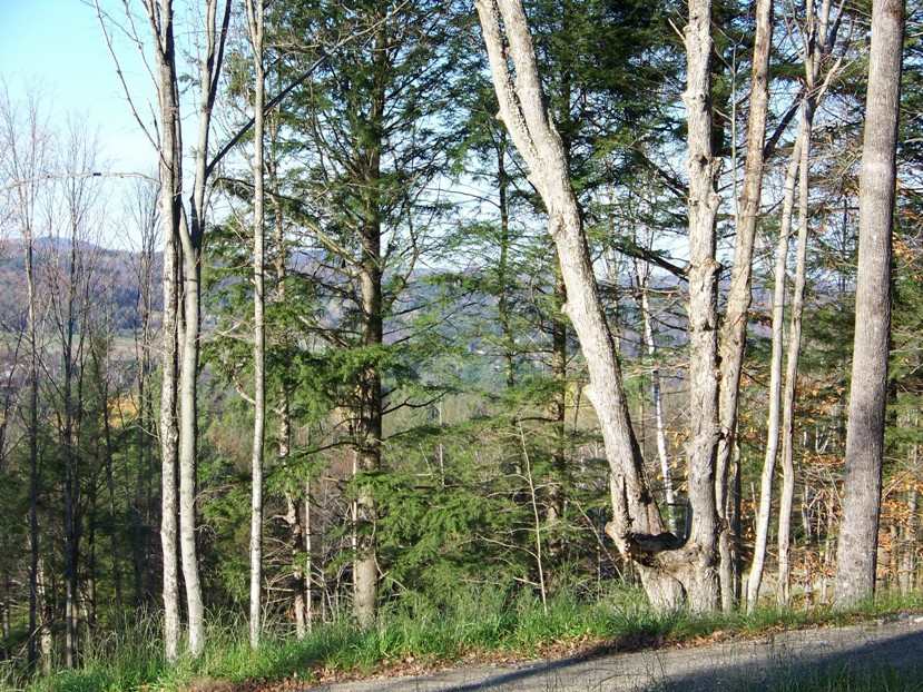 Summit View Drive, Unit 3 Stowe, VT 05672 - Photo 2 of 3 Gallery Image 2
