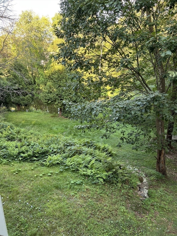 221 Pierce Road West Brookfield, MA 01585 - Photo 10 of 26 a view of a big yard with plants and large trees