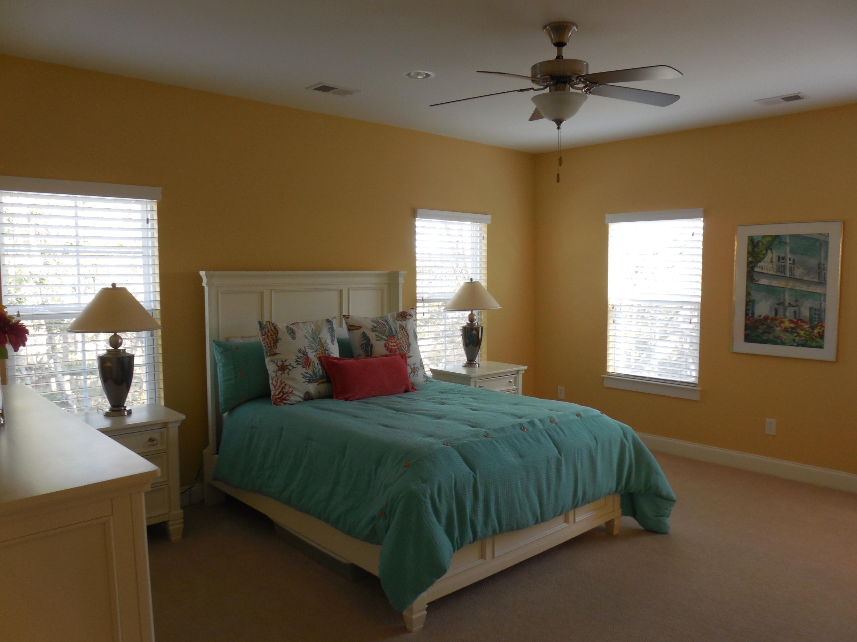 213 Slipper Shell Court Mount Pleasant, SC 29464 - Photo 11 of 28 Master bedroom (1).JPG
