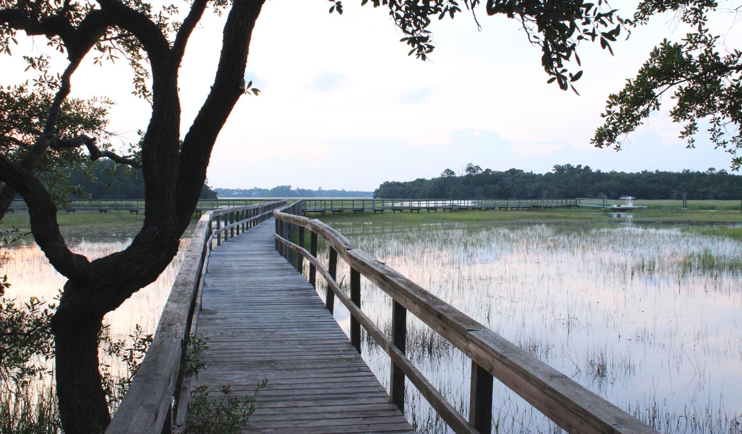 213 Slipper Shell Court Mount Pleasant, SC 29464 - Photo 19 of 28 Dock-Marsh Pointe (6).jpg