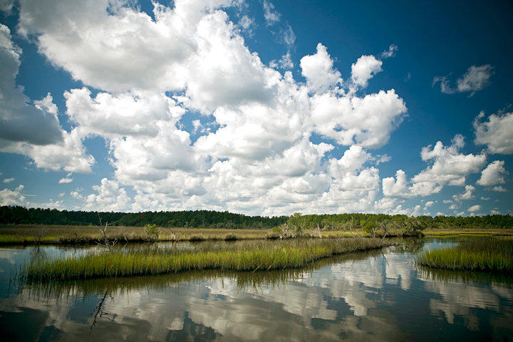 213 Slipper Shell Court Mount Pleasant, SC 29464 - Photo 23 of 28 Dock-Marsh Pointe (4).jpg