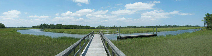 213 Slipper Shell Court Mount Pleasant, SC 29464 - Photo 28 of 28 Dock-Marsh Pointe (5).jpg