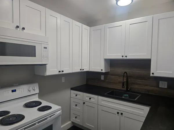 $1,175 | 707 Northwest 4th Avenue, Unit 202, Mineral Wells, TX 76067