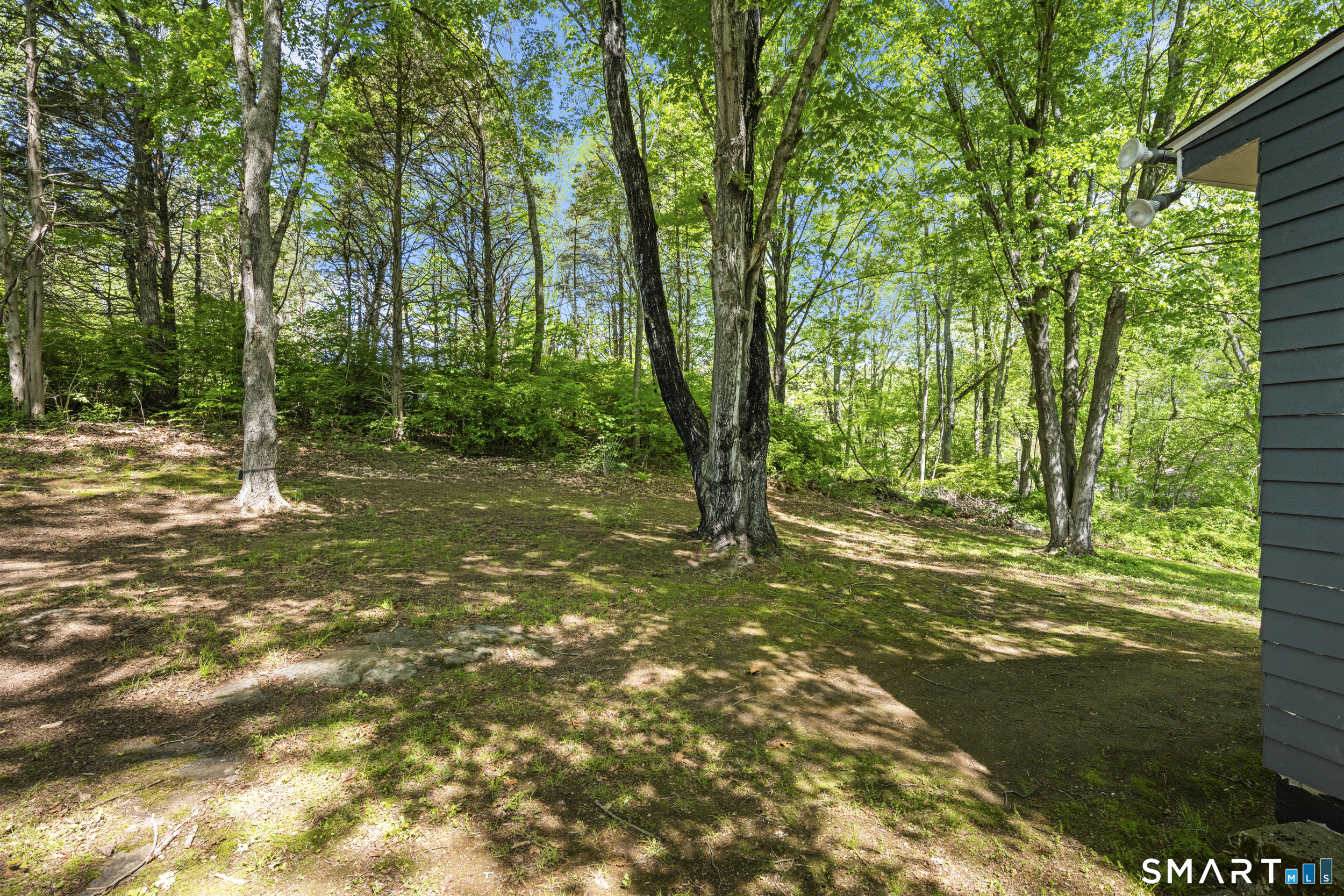 121 River Road Preston, CT 06365 - Photo 27 of 37 a view of a tree in the middle of a yard