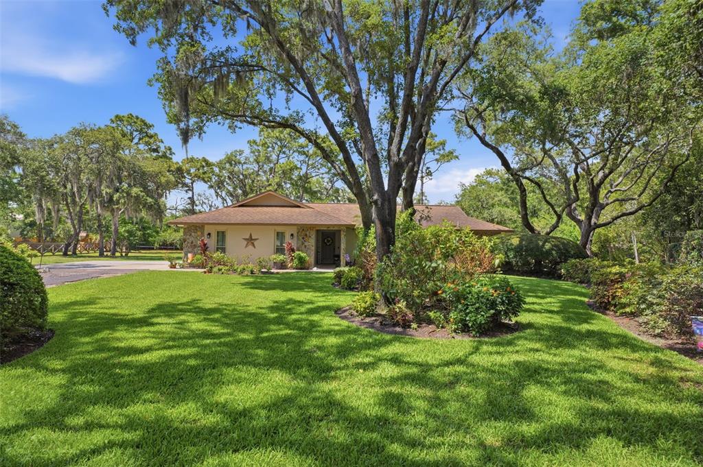 6403 Chiswick Court New Port Richey, FL 34655 - Photo 4 of 86