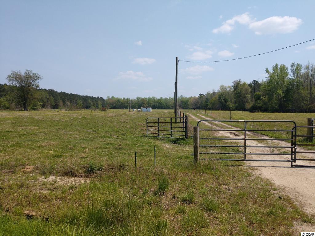 Tbd Cascade Road Green Sea, SC 29545 - Photo 1 of 6 Gallery Image 1