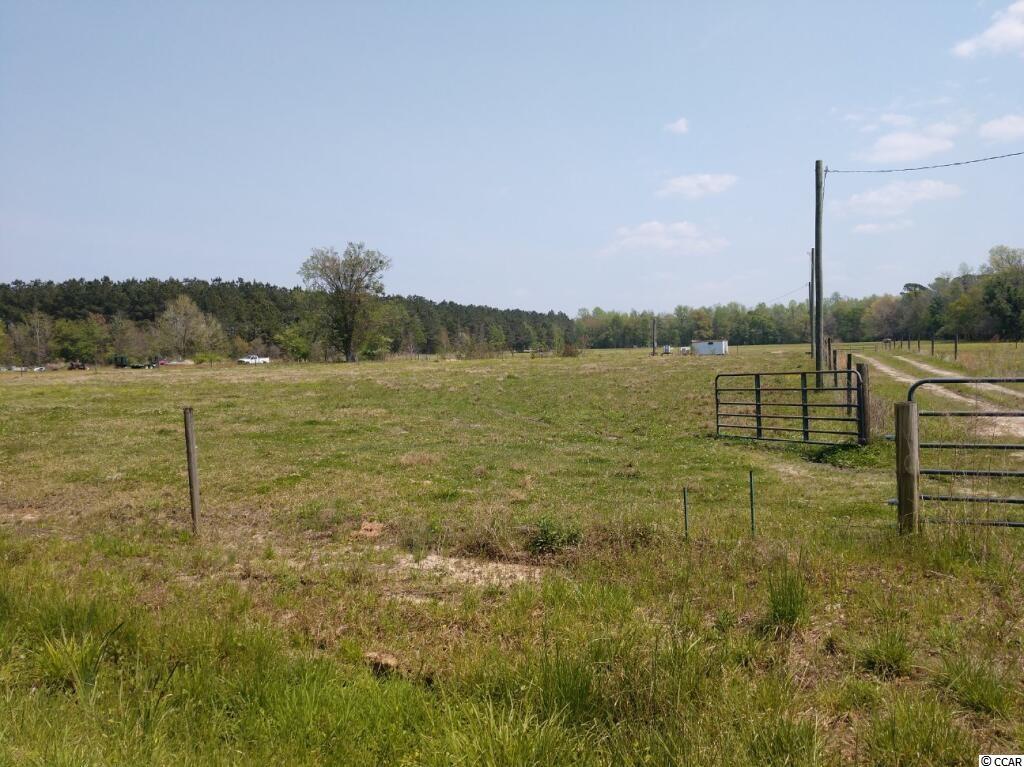 Tbd Cascade Road Green Sea, SC 29545 - Photo 2 of 6 Gallery Image 2