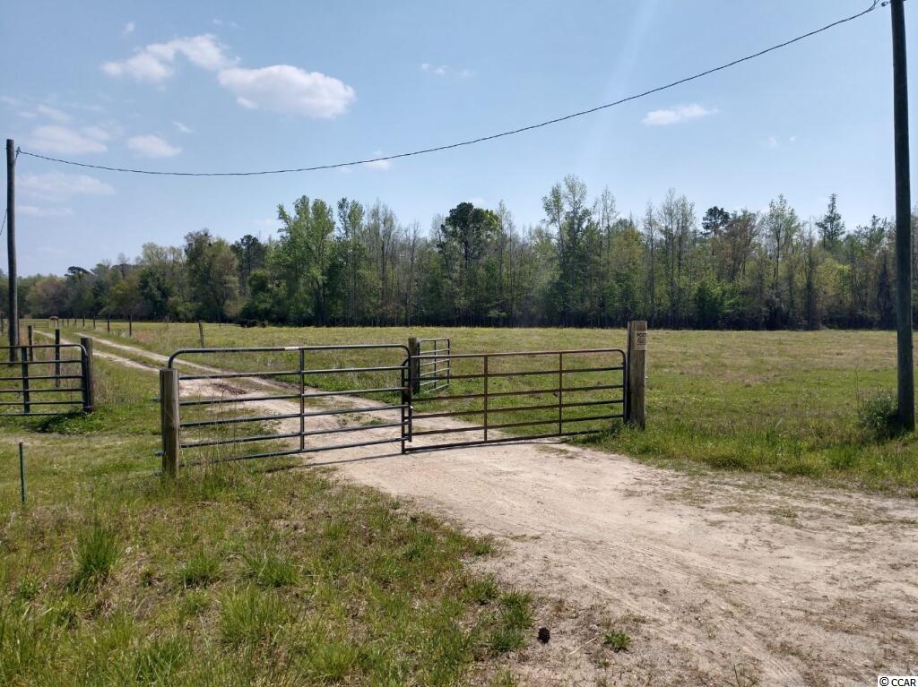 Tbd Cascade Road Green Sea, SC 29545 - Photo 3 of 6 Gallery Image 3