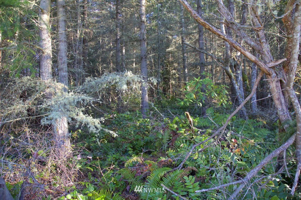 0 Cape George Road Port Townsend, WA 98368 - Photo 22 of 25 Gallery Image 22