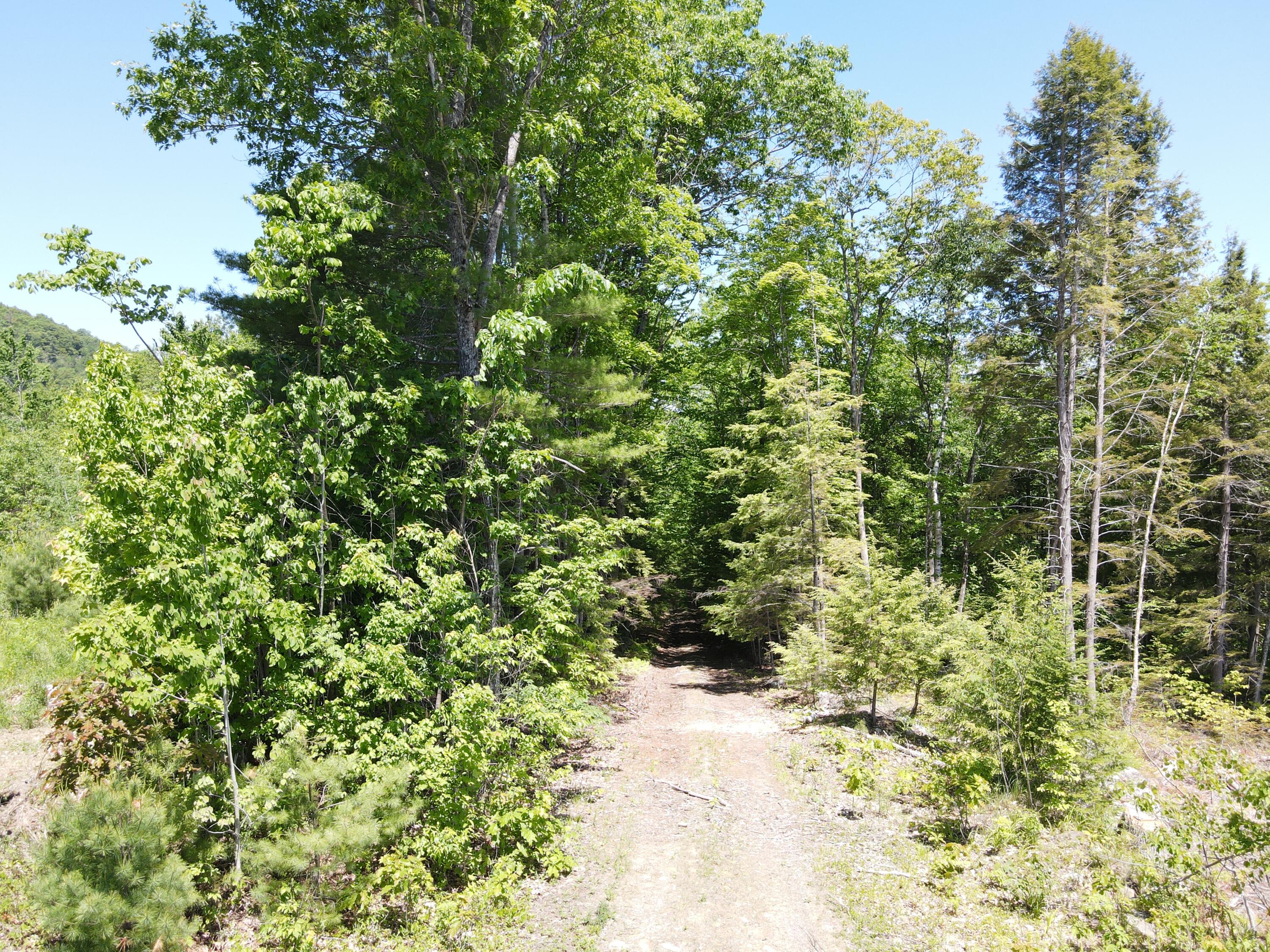 M10-l25 M10-l25 Cahoon Road Chesterville, ME 04938 - Photo 21 of 80 DJI_0754