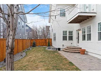 a view of a backyard with a large tree