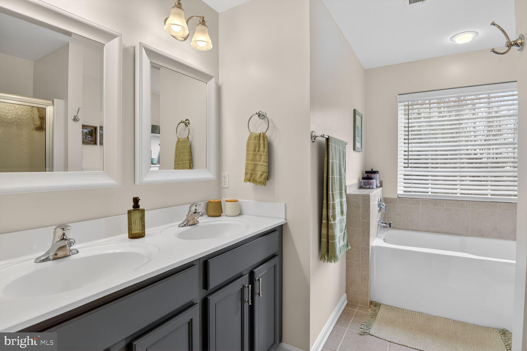 1409 James Way Edgewater, MD 21037 - Photo 16 of 21 a bathroom with a tub sink and mirror
