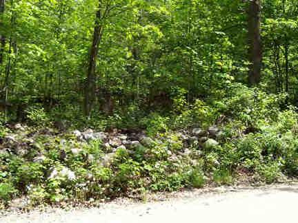 Brookman Road Pownal, VT 05261 - Photo 2 of 3 a view of a lush green forest