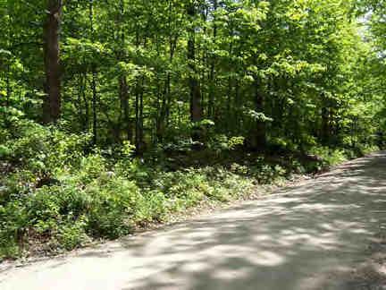 Brookman Road Pownal, VT 05261 - Photo 3 of 3 a view of a yard with plants and large trees