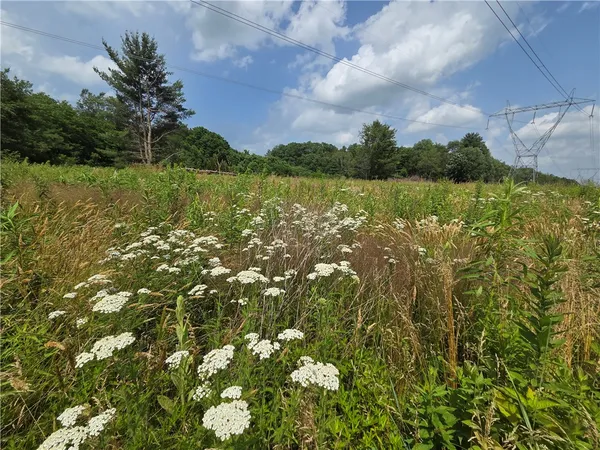 $49,900 | 10720 Duck Lake Road, Conquest, NY 13140