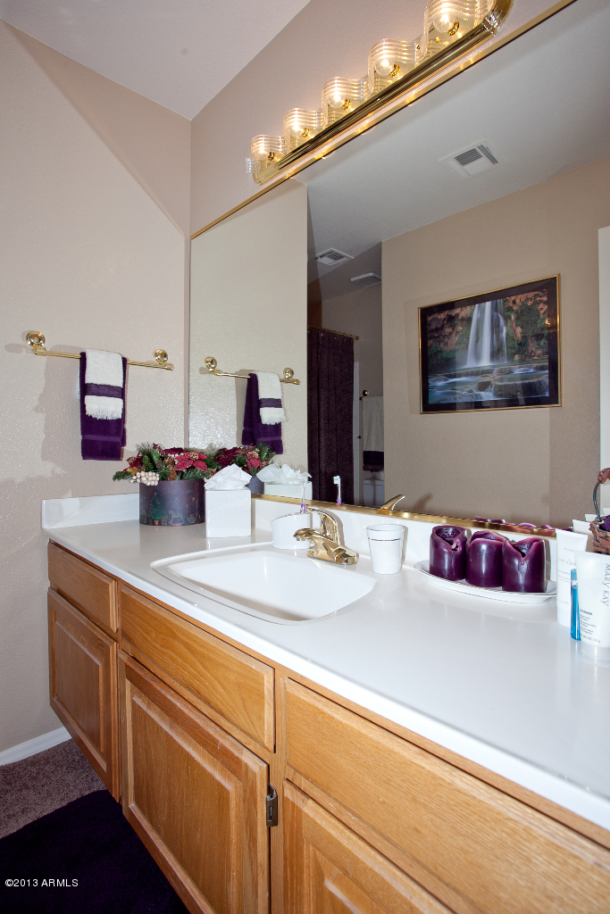 530 East Utopia Road Phoenix, AZ 85024 - Photo 16 of 20 Vanity2