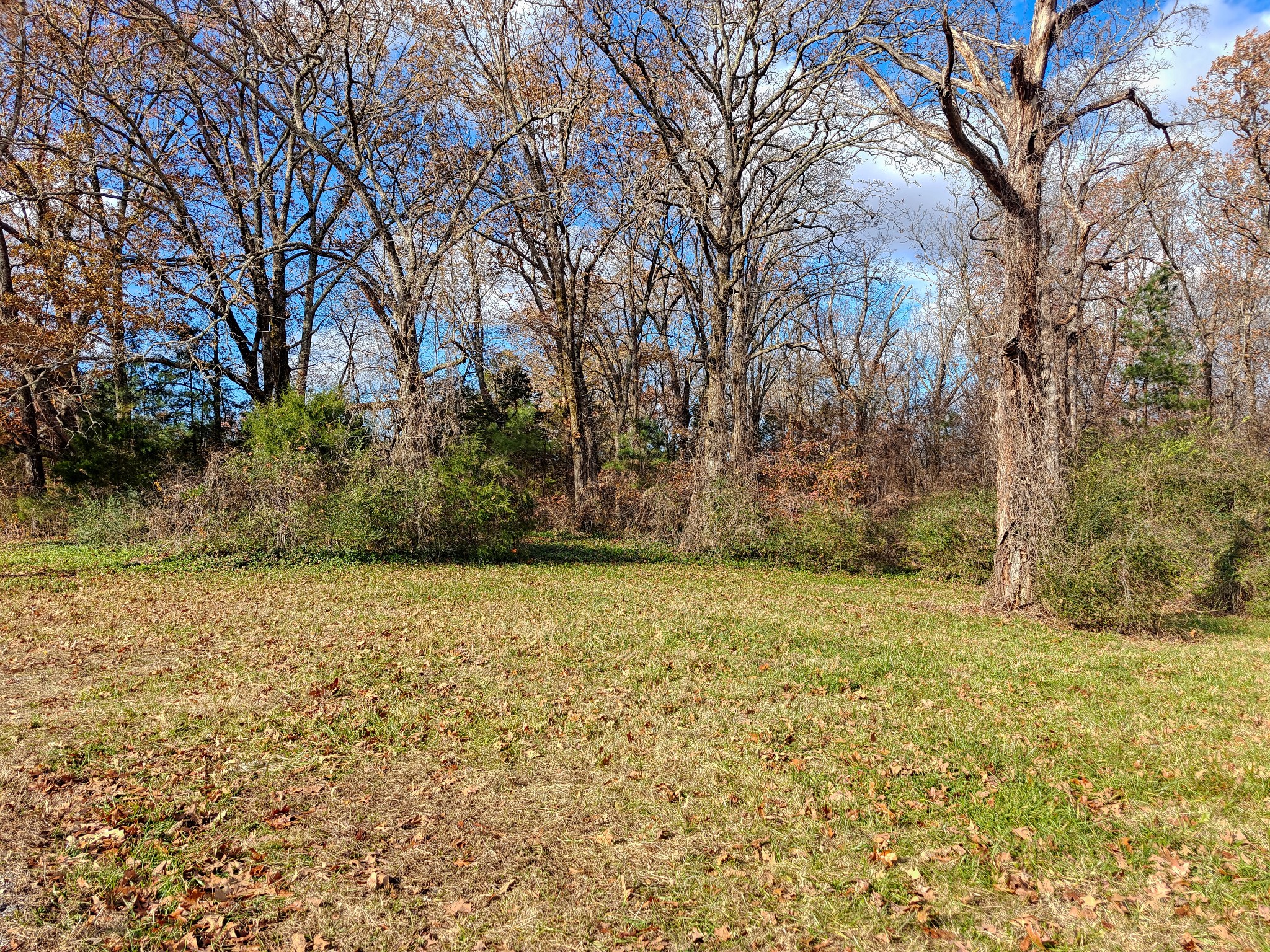 0 Grooms Road Bruceton, TN 38317 - Photo 12 of 17 Gallery Image 12