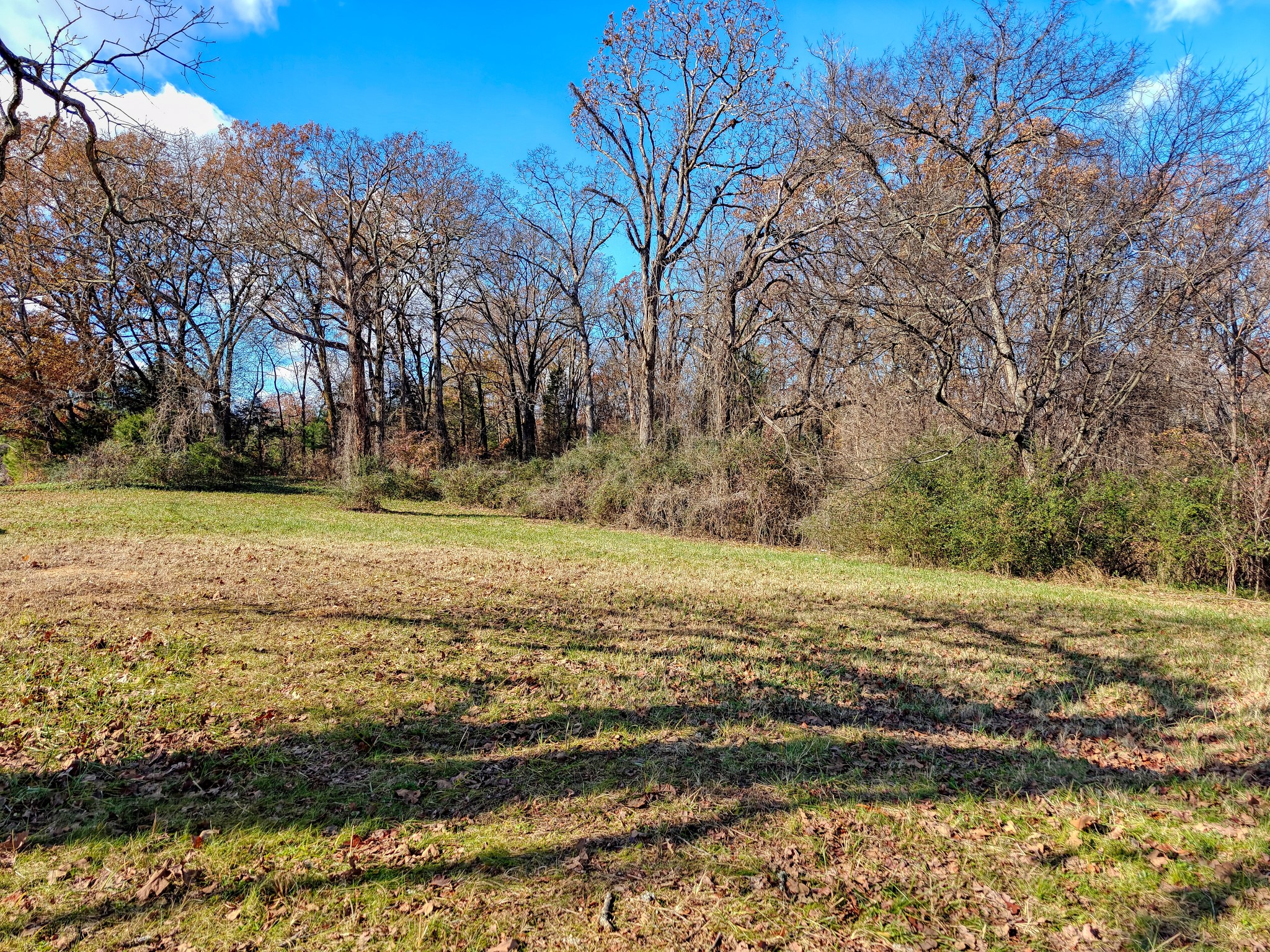 0 Grooms Road Bruceton, TN 38317 - Photo 16 of 17 Gallery Image 16