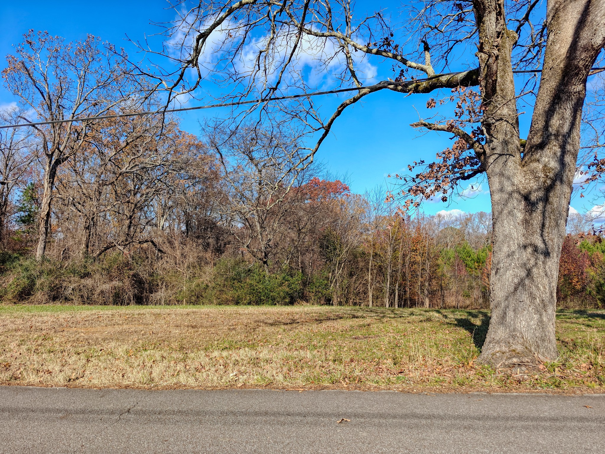 0 Grooms Road Bruceton, TN 38317 - Photo 17 of 17 Gallery Image 17