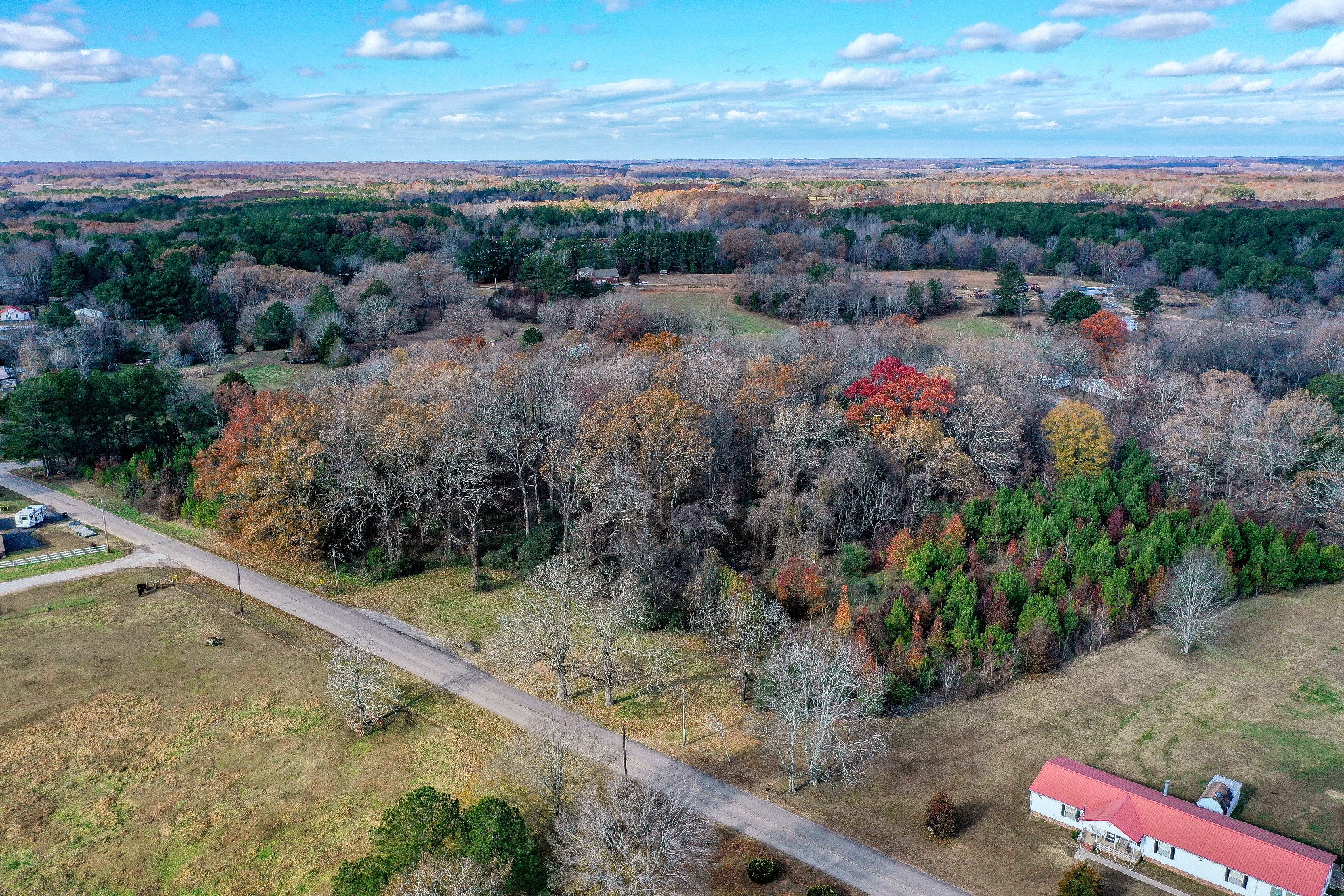 0 Grooms Road Bruceton, TN 38317 - Photo 5 of 17 Gallery Image 5