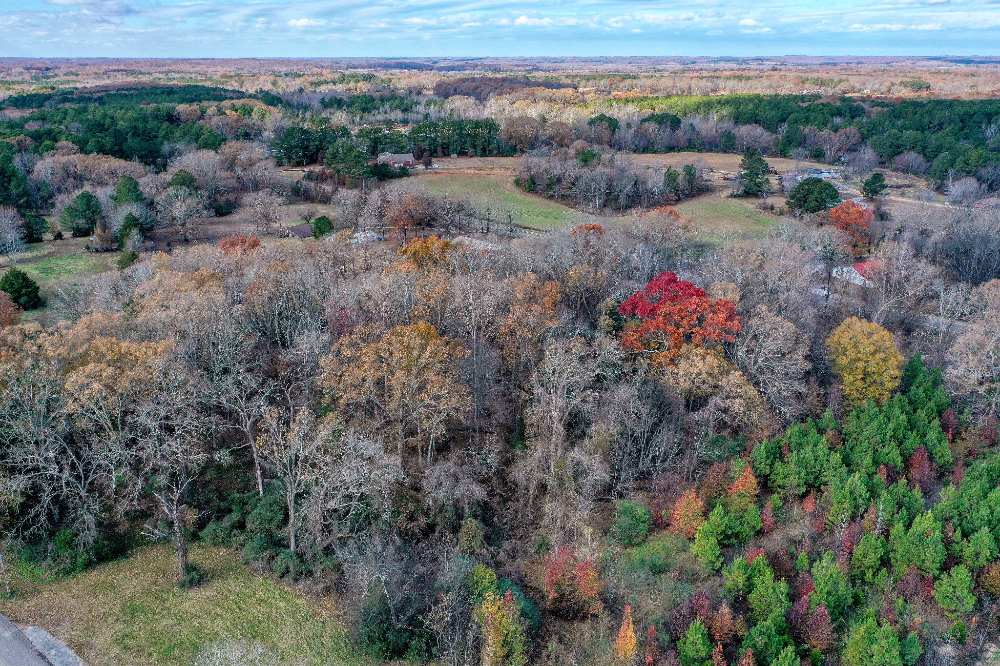0 Grooms Road Bruceton, TN 38317 - Photo 6 of 17 Gallery Image 6
