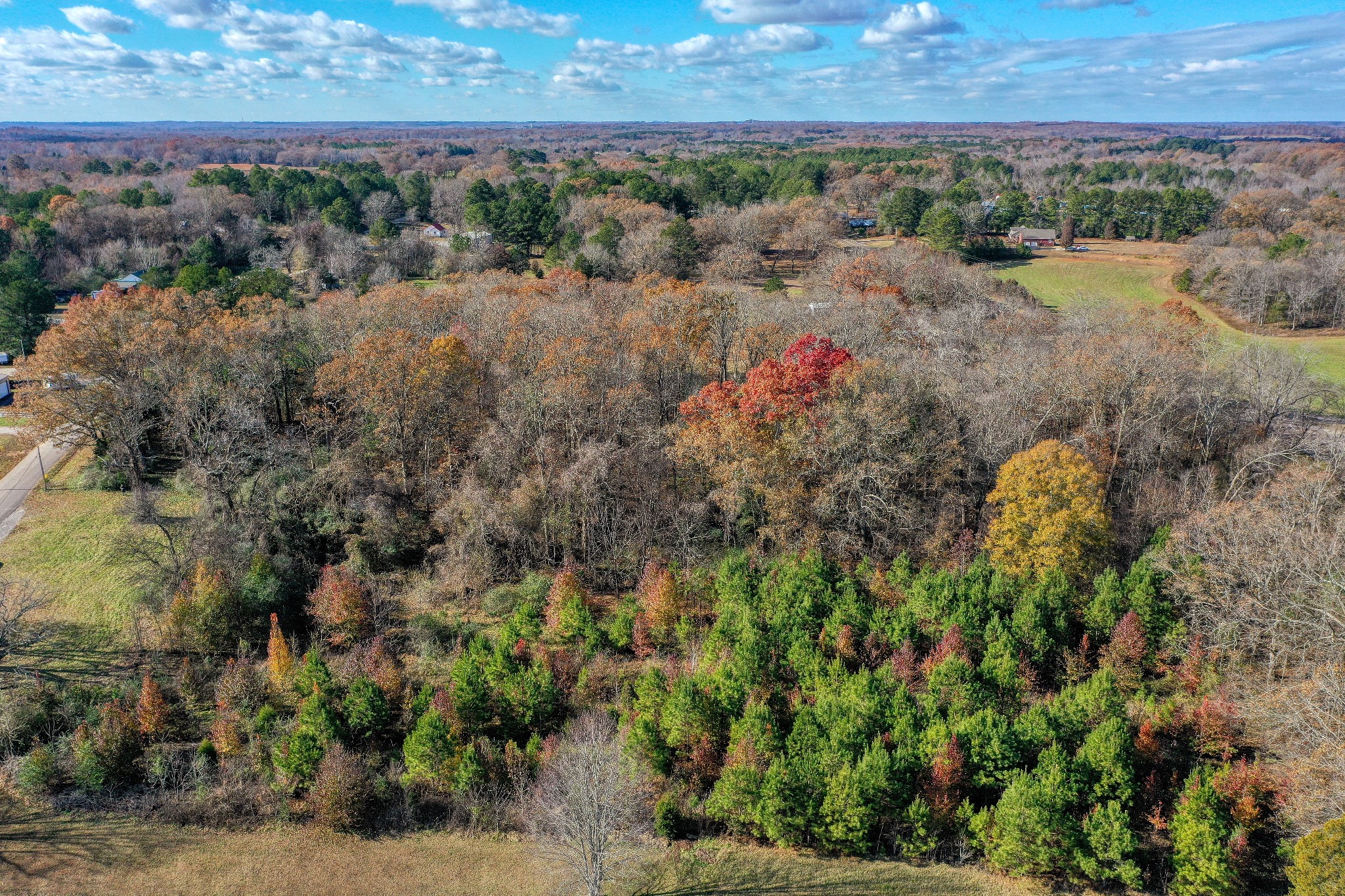 0 Grooms Road Bruceton, TN 38317 - Photo 8 of 17 Gallery Image 8