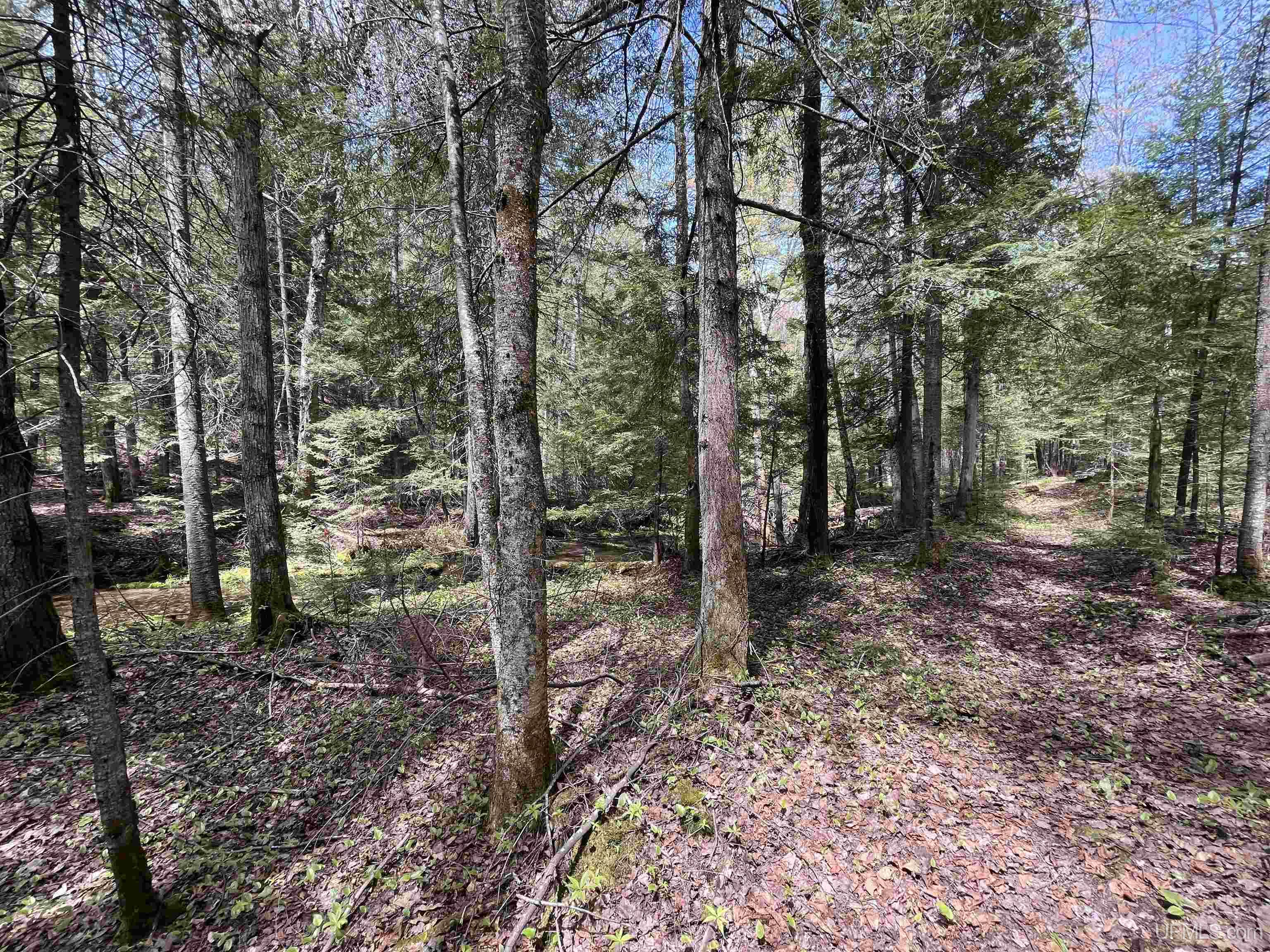 38-acres County Rd NA Road Marquette, MI 49855 - Photo 48 of 70