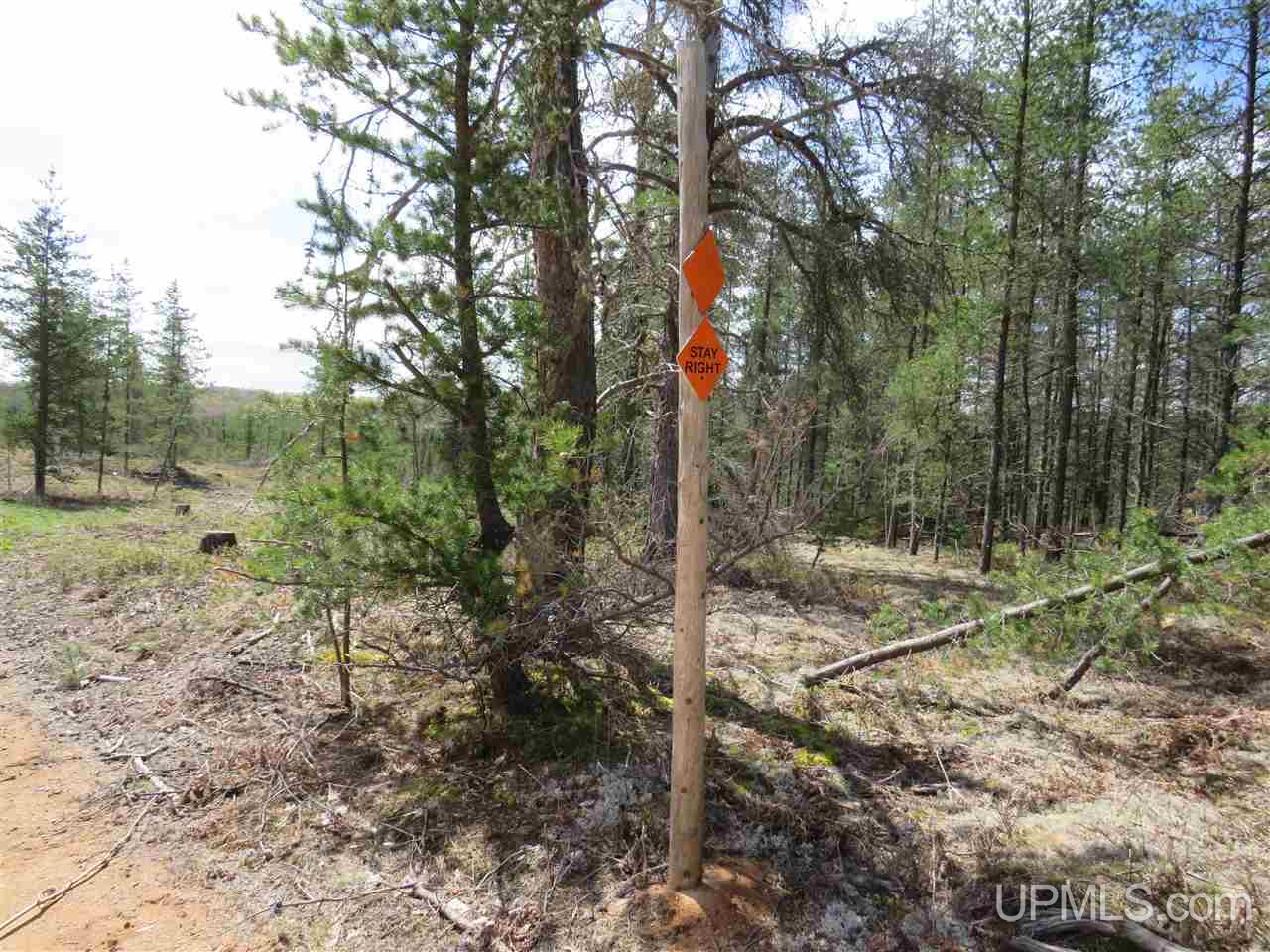 Tbd Tbd Off The Boise Route Road Negaunee, MI 49866 - Photo 21 of 45