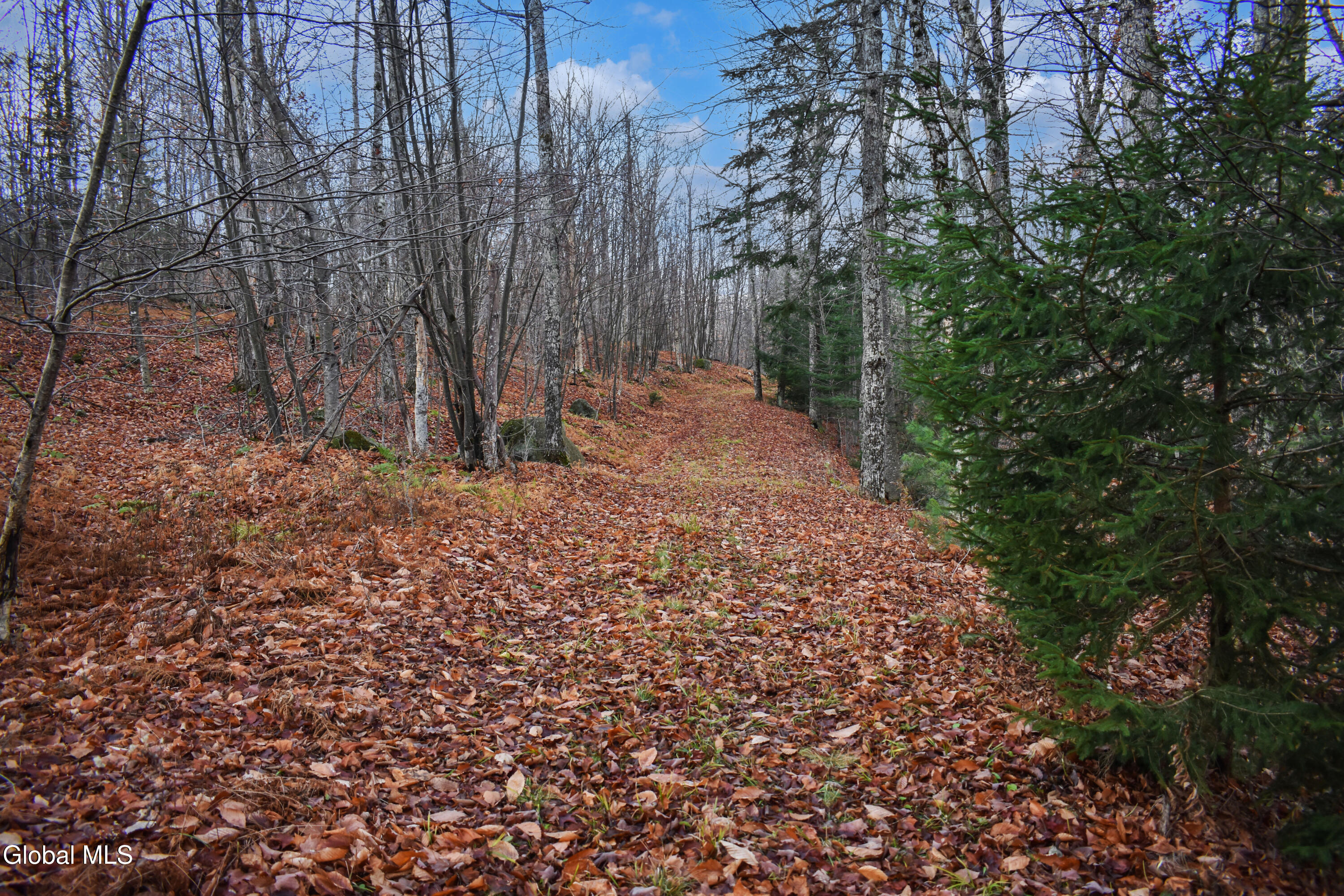 4h Rd Johnsburg Ny 12856 Road North River, NY 12856 - Photo 11 of 21 DSC_0139