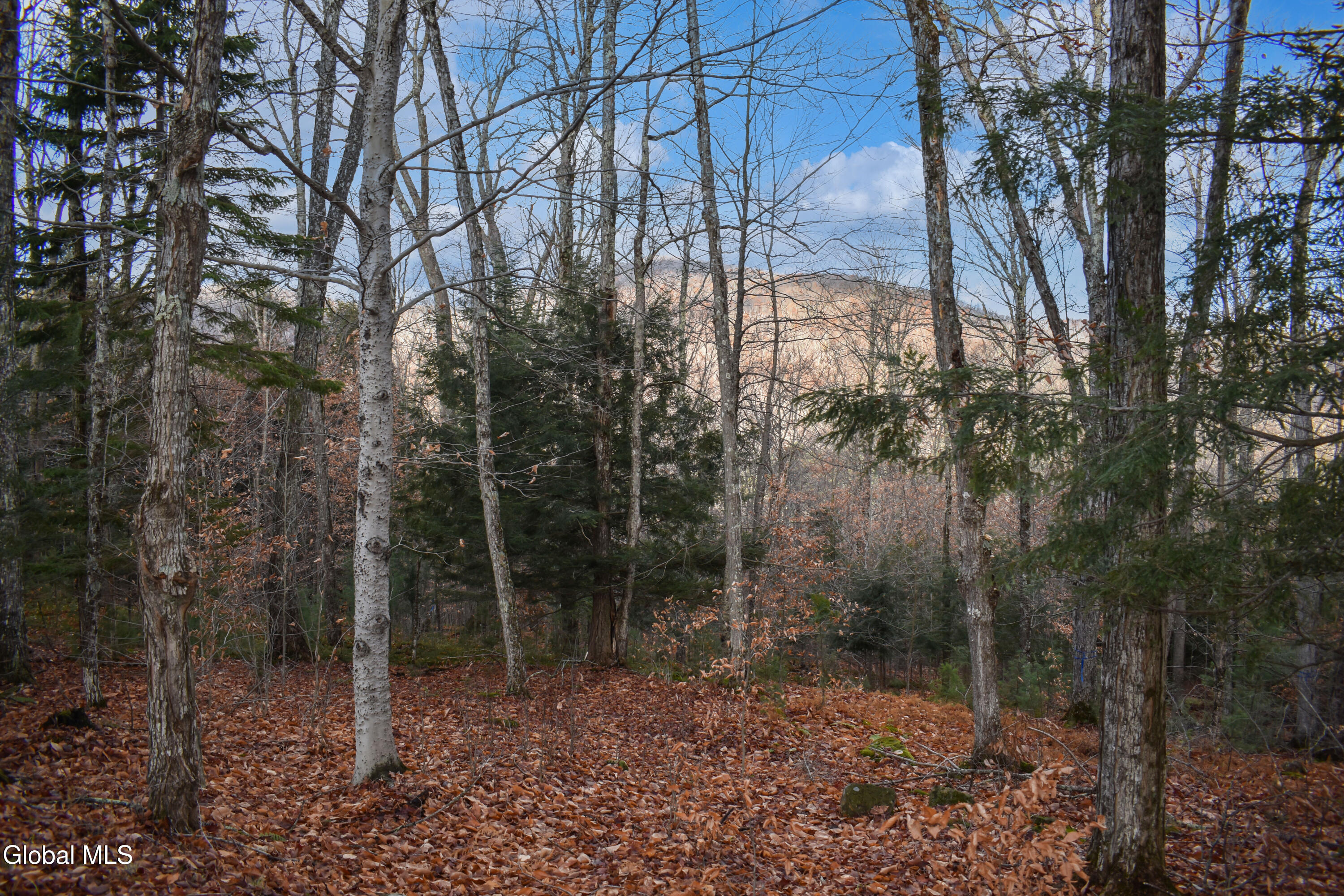 4h Rd Johnsburg Ny 12856 Road North River, NY 12856 - Photo 5 of 21 DSC_0141