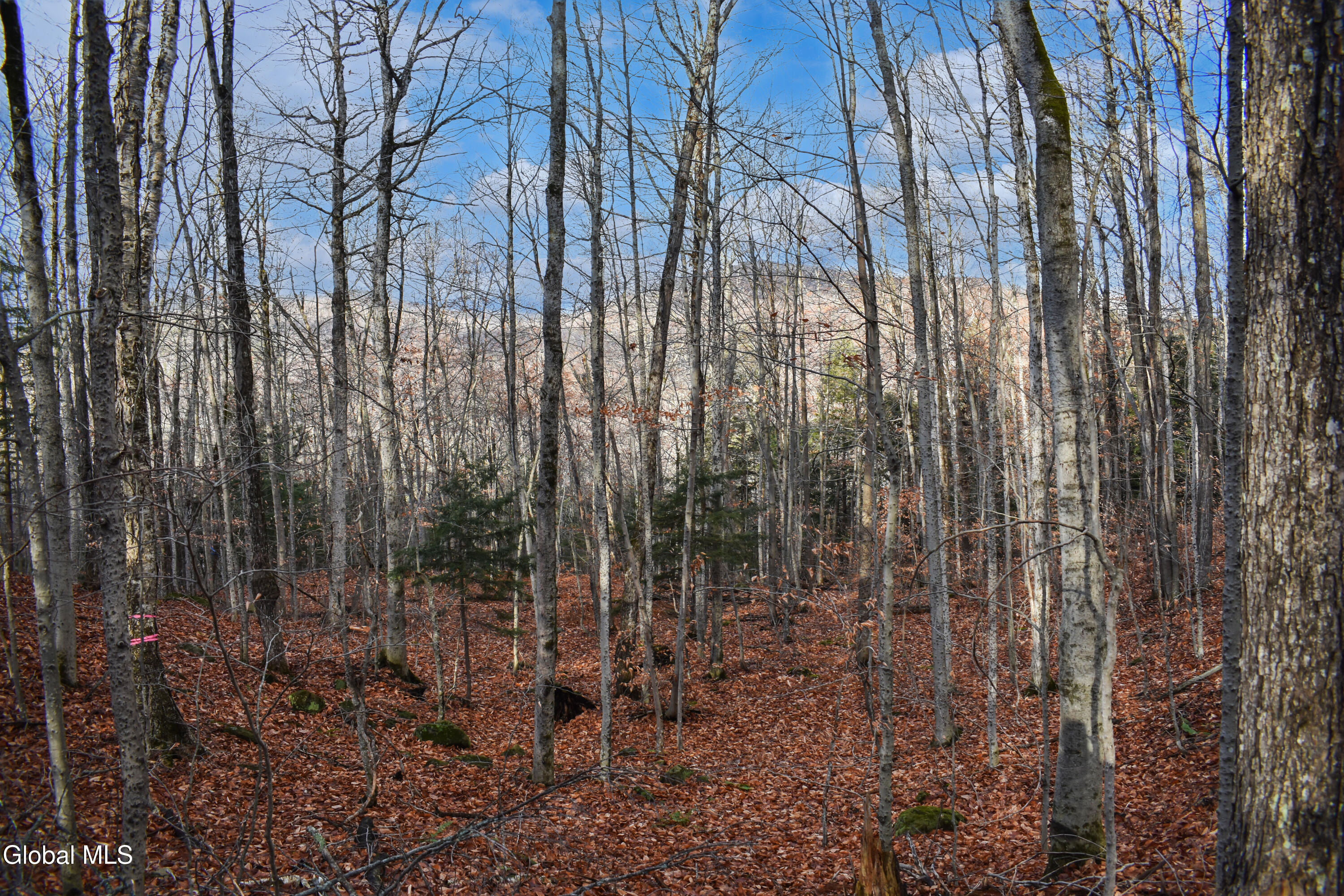 4h Rd Johnsburg Ny 12856 Road North River, NY 12856 - Photo 6 of 21 DSC_0143