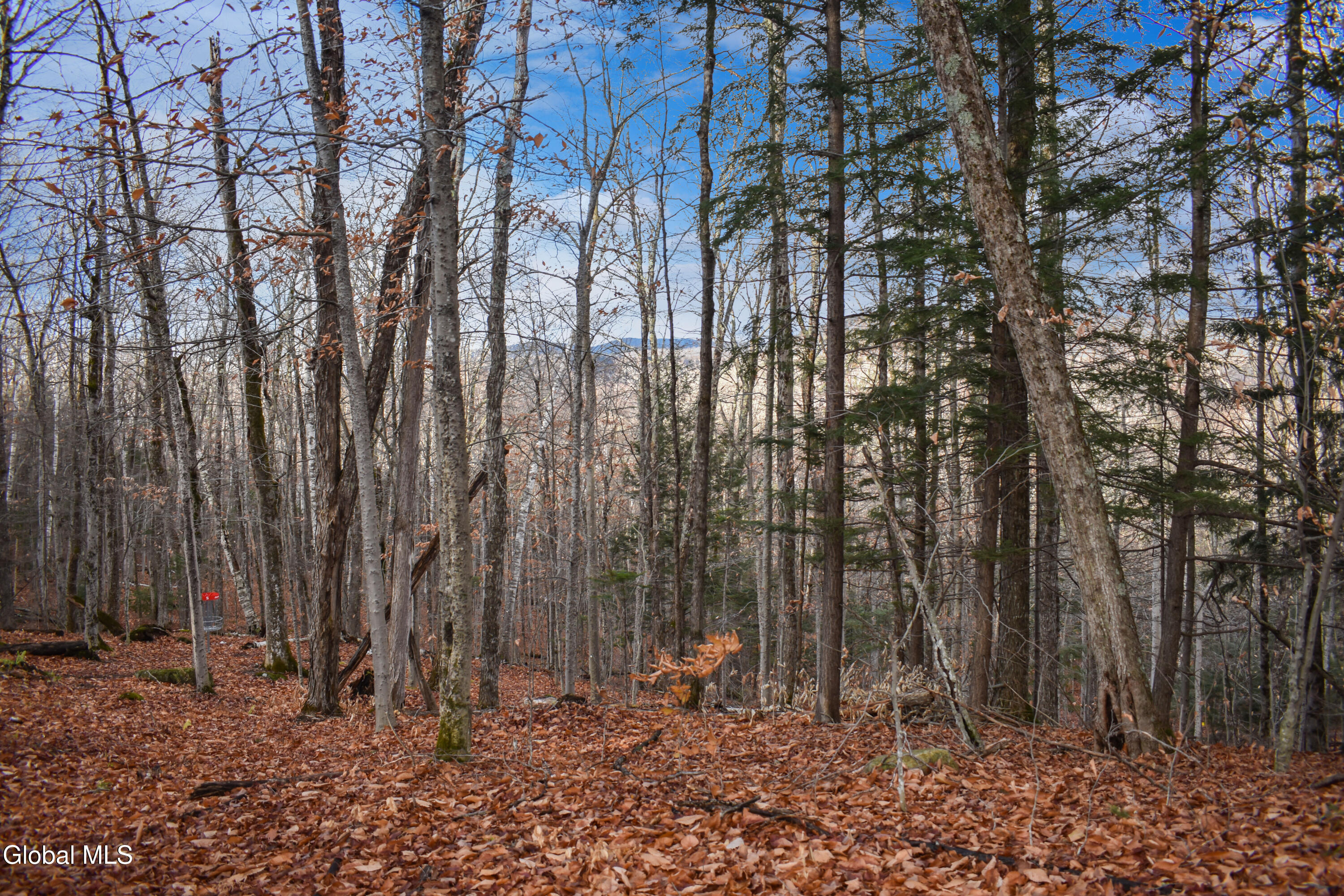 4h Rd Johnsburg Ny 12856 Road North River, NY 12856 - Photo 7 of 21 DSC_0144