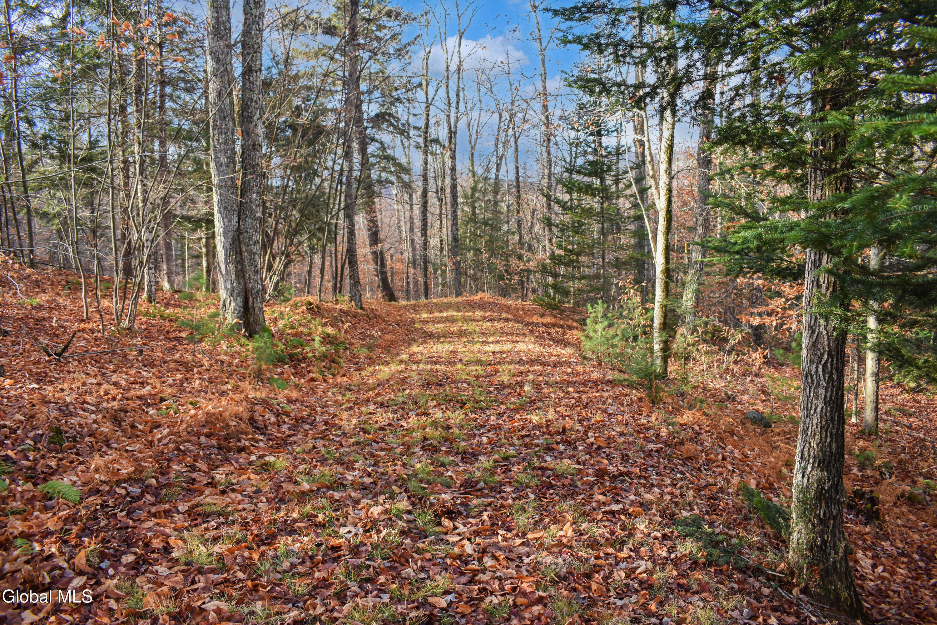 4h Rd Johnsburg Ny 12856 Road North River, NY 12856 - Photo 9 of 21 DSC_0142