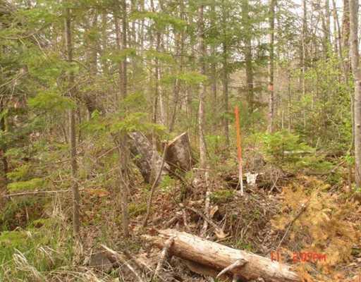 999999 Miller Road New Vineyard, ME 04956 - Photo 14 of 14 Land/Lot.