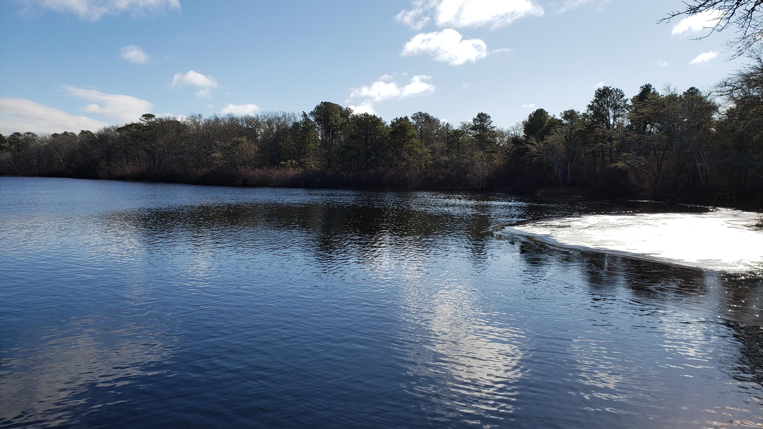 0 Slough Road Brewster, MA 02631 - Photo 1 of 6 20200121_130351