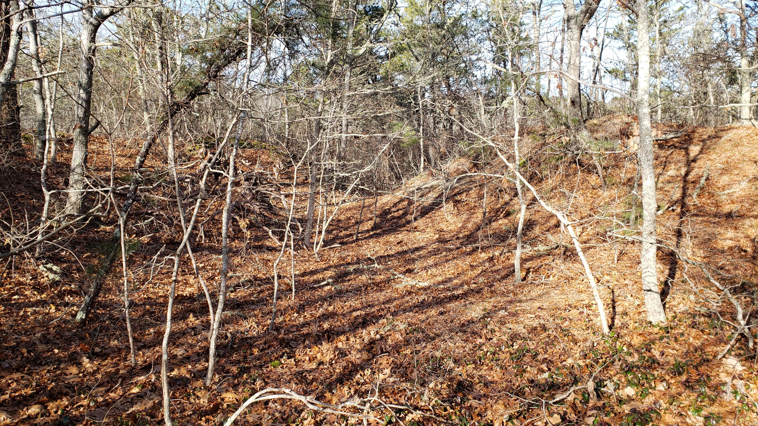 0 Slough Road Brewster, MA 02631 - Photo 2 of 6 20200121_131325