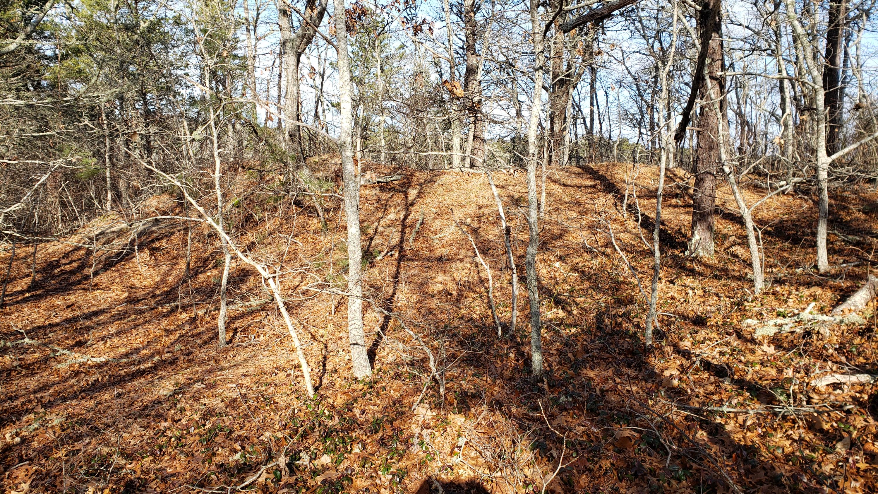 0 Slough Road Brewster, MA 02631 - Photo 3 of 6 20200121_131329