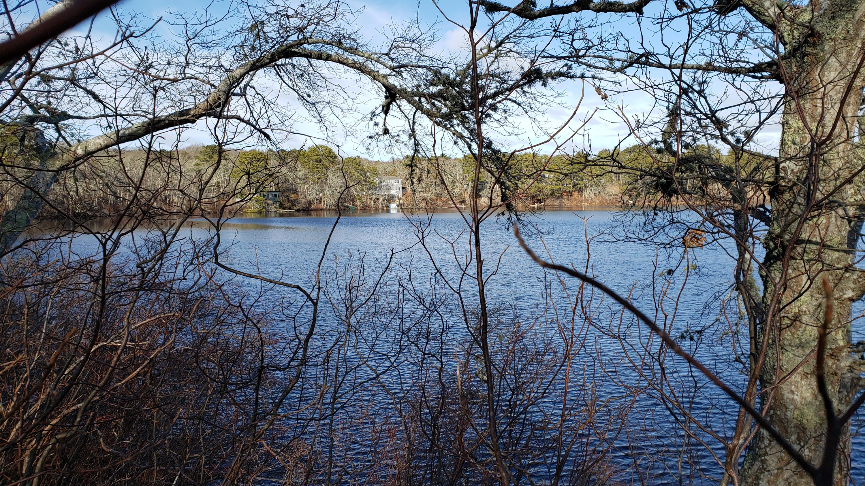 0 Slough Road Brewster, MA 02631 - Photo 5 of 6 20200121_132006