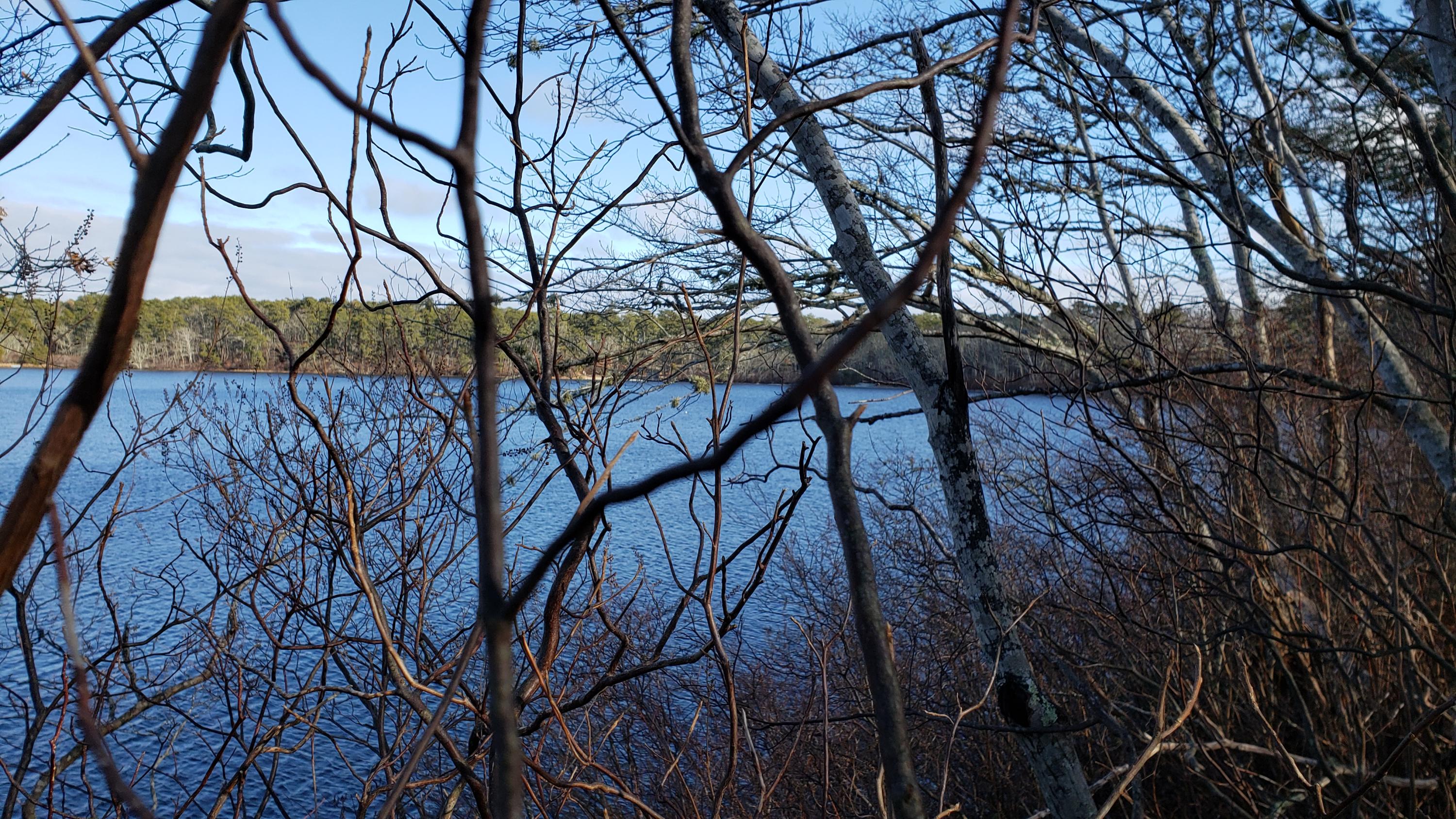 0 Slough Road Brewster, MA 02631 - Photo 6 of 6 20200121_132012