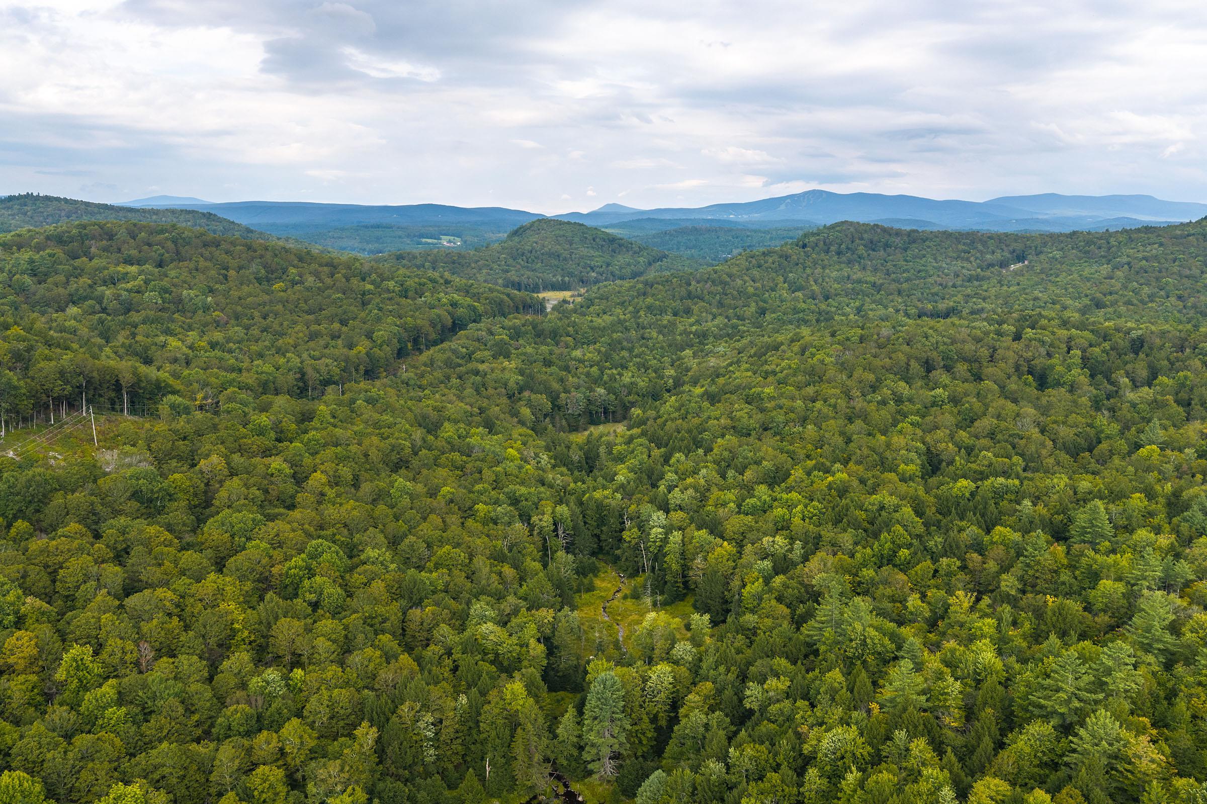 0 Pratt Bridge Road Chester, VT 05143 - Photo 7 of 16 Gallery Image 7