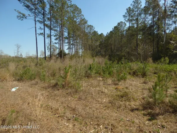 $39,900 | 0 C D C D Rayborn Road, Jayess, MS 39641