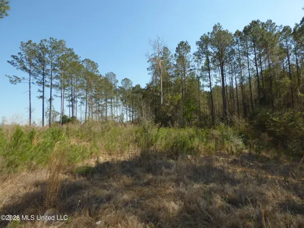 $39,900 | 0 C D C D Rayborn Road, Jayess, MS 39641