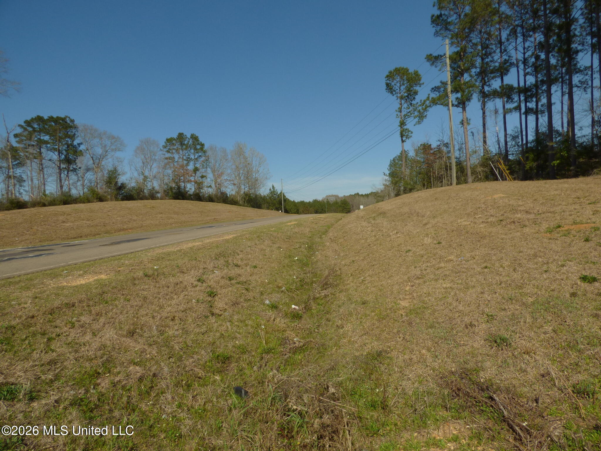 0 C D C D Rayborn Road Jayess, MS 39641 - Photo 5 of 8 P1340222