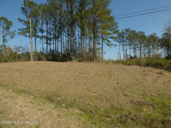 $39,900 | 0 C D C D Rayborn Road, Jayess, MS 39641