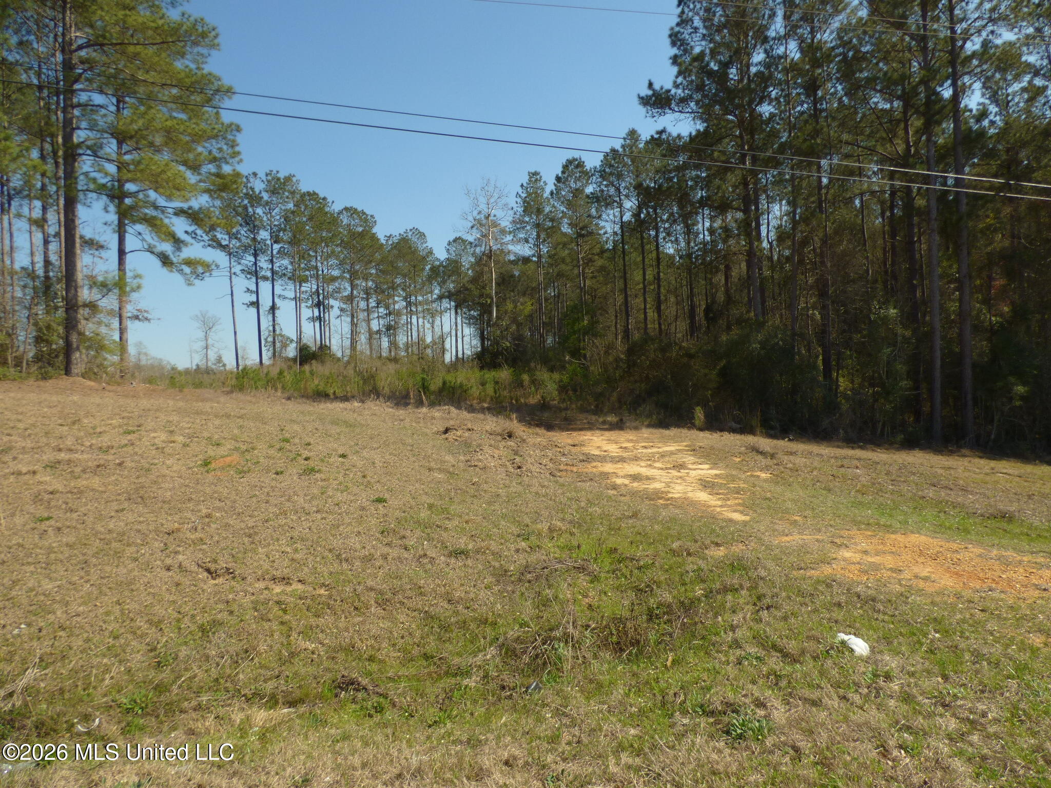 0 C D C D Rayborn Road Jayess, MS 39641 - Photo 7 of 8 P1340225