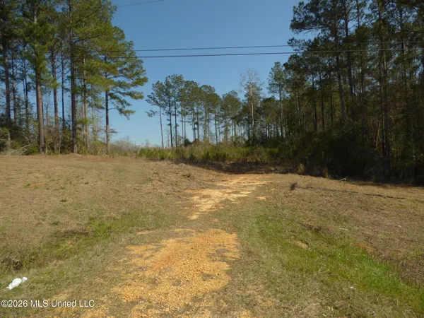 $39,900 | 0 C D C D Rayborn Road, Jayess, MS 39641