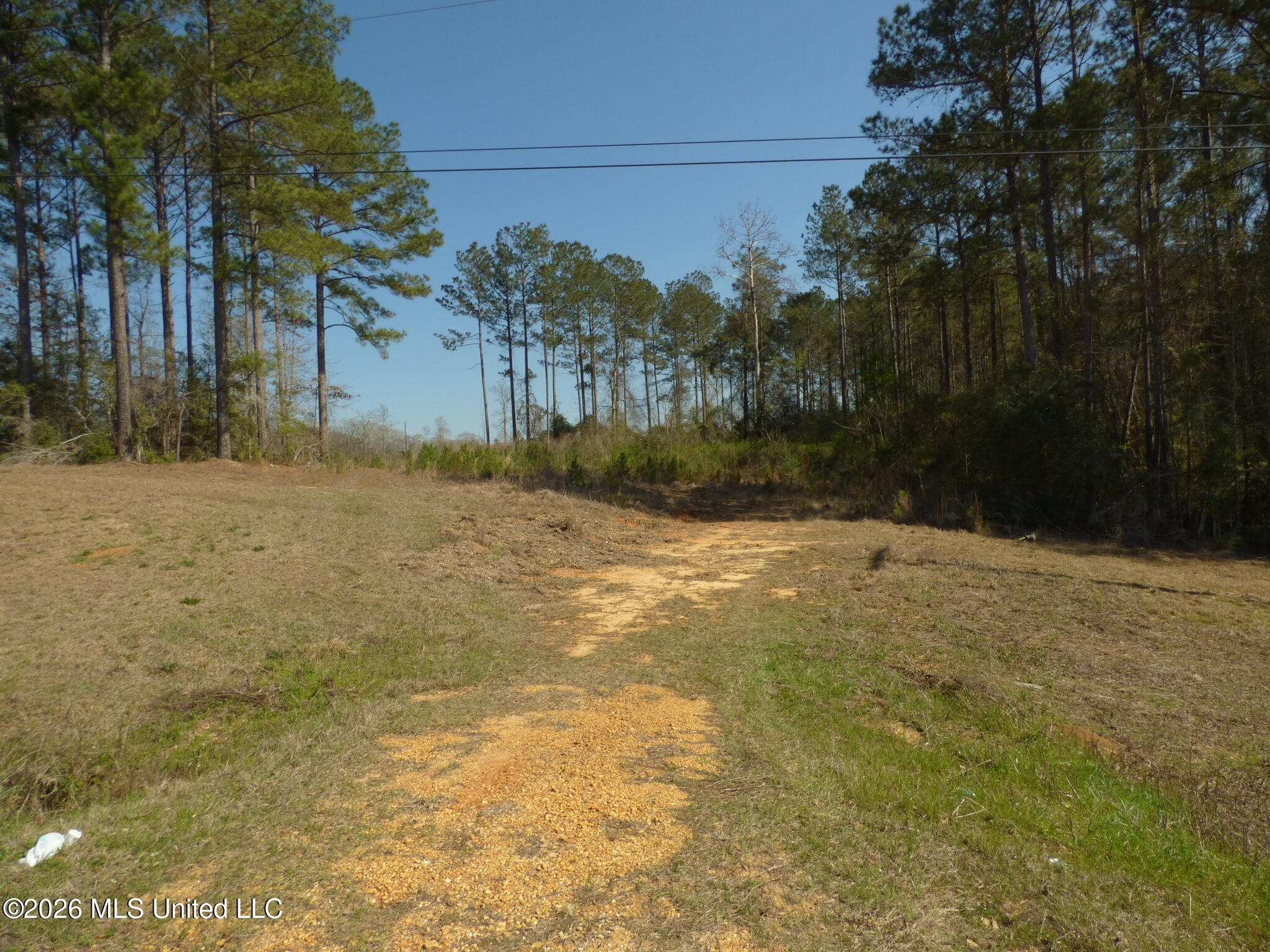 0 C D C D Rayborn Road Jayess, MS 39641 - Photo 8 of 8 P1340226