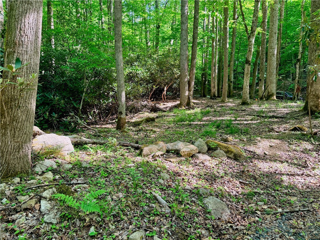 Lot 5 Buckeye Ridge Road Beech Mountain, NC 28604 - Photo 7 of 12