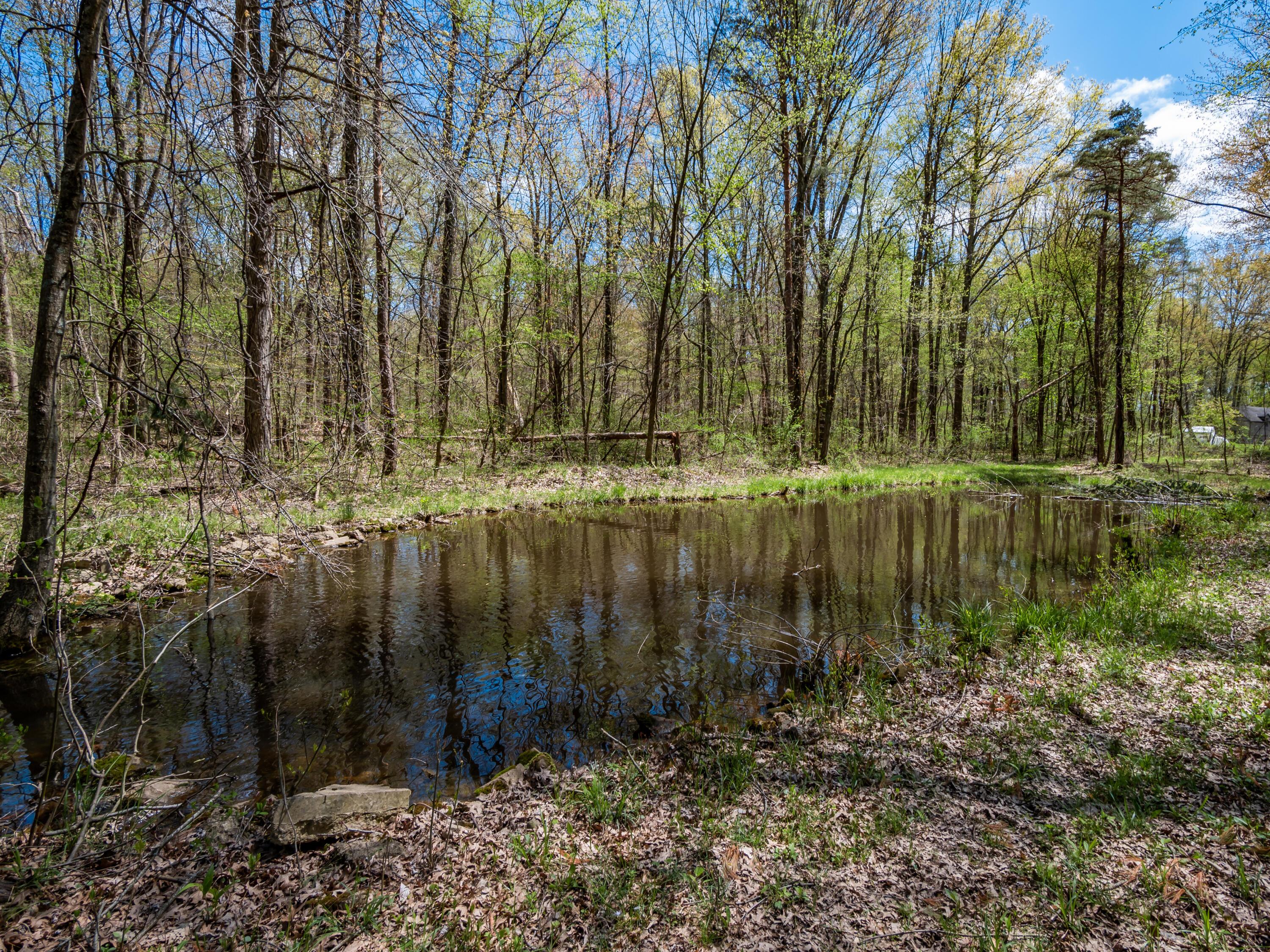 3773 Dixon Road Southwest Pataskala, OH 43062 - Photo 12 of 52 062_7af_C - 3773 Dixon SW 126